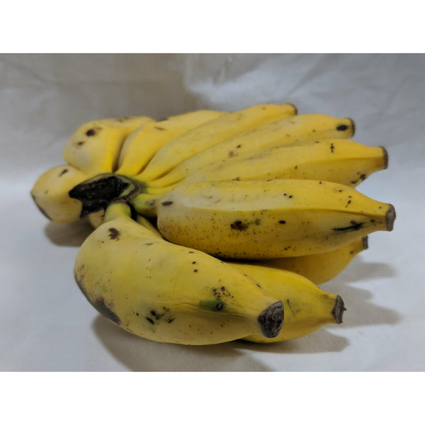 Apple Banana (Produce of Uganda)