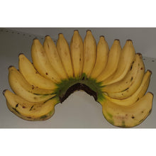 Apple Banana (Produce of Uganda)