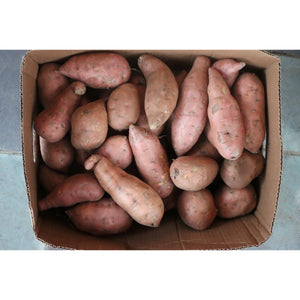 Red Sweet Potato (Produce of Uganda)