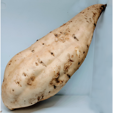 White Sweet Potato  (Produce of Uganda)