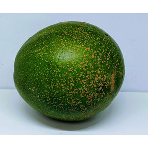 Avocado (Produce of Uganda)