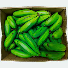 Matooke (Produce of Uganda)